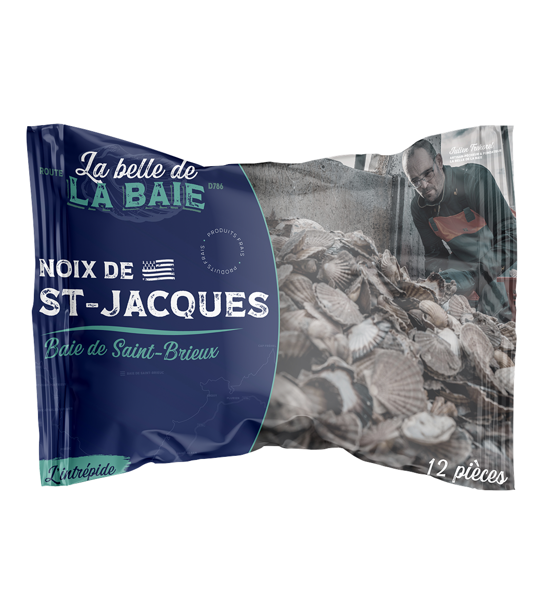 Noix de Saint-Jacques fraîches décortiquées, disposées en éventail sur fond blanc, pêchées en Baie de Saint-Brieuc par L'intrépide